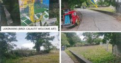 Foreclosed Agricultural Lot in Bacnotan, La Union · Lot No. 3543 (PDIC)