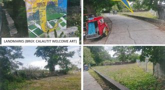 Foreclosed Agricultural Lot in Bacnotan, La Union · Lot No. 3543 (PDIC)