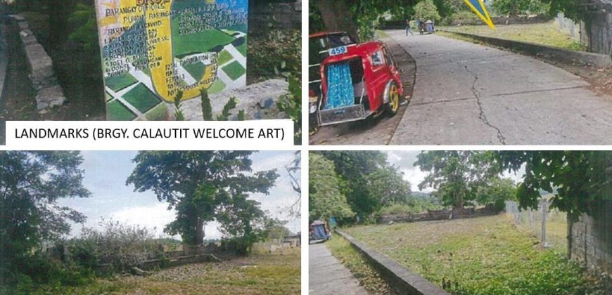 Foreclosed Agricultural Lot in Bacnotan, La Union · Lot No. 3543 (PDIC)