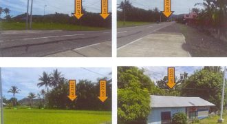 Foreclosed Residential Lot in Barbaza, Antique · Lot No. 2231 (PDIC)