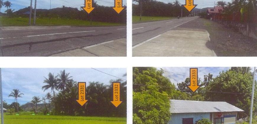 Foreclosed Residential Lot in Barbaza, Antique, Visayas #2