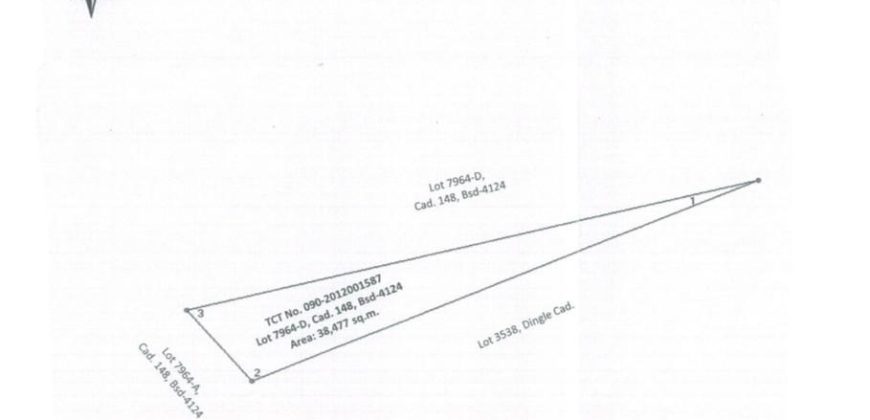 Foreclosed Agricultural Lot in San Enrique, Iloilo (PDIC)