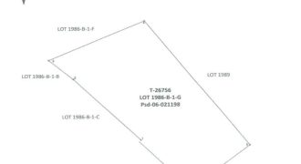 Foreclosed Agricultural Lot in Roxas, Capiz (PDIC)