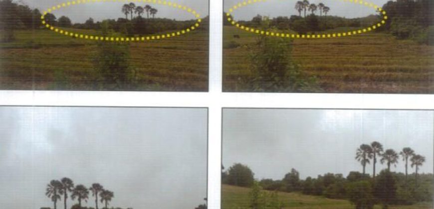 Foreclosed Property in Nueva Valencia, Iloilo · Lot 4666 (PDIC)