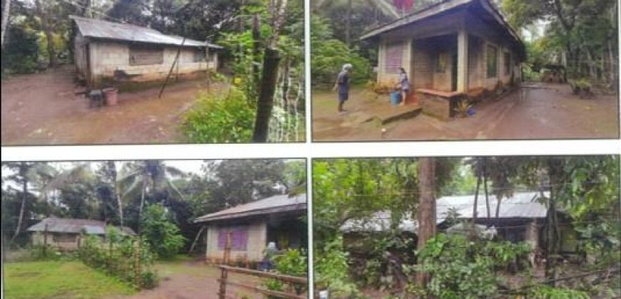 Foreclosed Property in Nueva Valencia, Iloilo · Lot 2142 (PDIC)