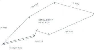 Foreclosed Agricultural Lot in Libagon, Southern Leyte · Lot 6115 (PDIC)