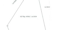 Foreclosed Agricultural Lot in Libagon, Southern Leyte · Lot 6594 (PDIC)