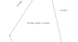 Foreclosed Agricultural Lot in Libagon, Southern Leyte · Lot 6594 (PDIC)