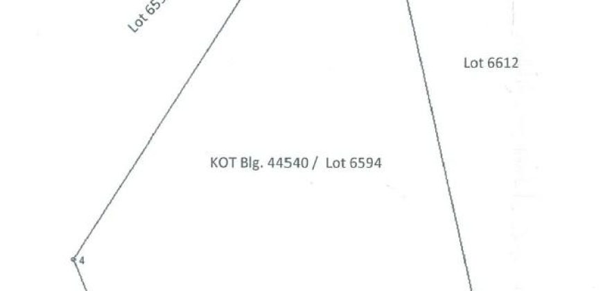 Foreclosed Agricultural Lot in Libagon, Southern Leyte · Lot 6594 (PDIC)