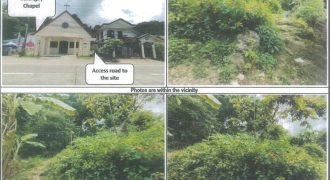 Foreclosed Agricultural Lot in Tomas Oppus, Southern Leyte (PDIC)