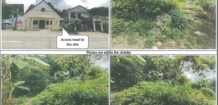 Foreclosed Agricultural Lot in Tomas Oppus, Southern Leyte (PDIC)