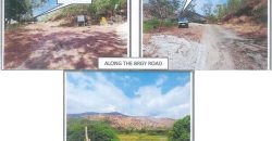 Foreclosed Agricultural Lot in San Narciso, Zambales · Lot 05 Blk. 007 (PDIC)