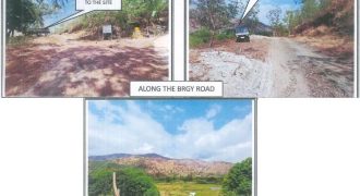 Foreclosed Agricultural Lot in San Narciso, Zambales · Lot 05 Blk. 007 (PDIC)