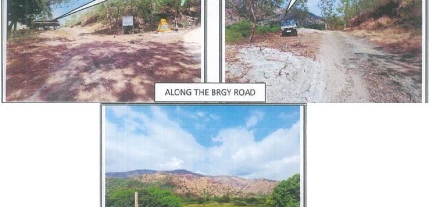 Foreclosed Agricultural Lot in San Narciso, Zambales · Lot 05 Blk. 007 (PDIC)
