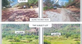 Foreclosed Agricultural Lot in San Narciso, Zambales (PDIC)