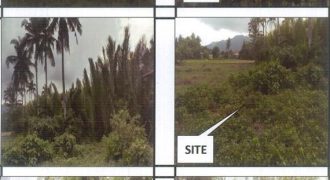 Foreclosed Property in Nabas, Aklan (PDIC)