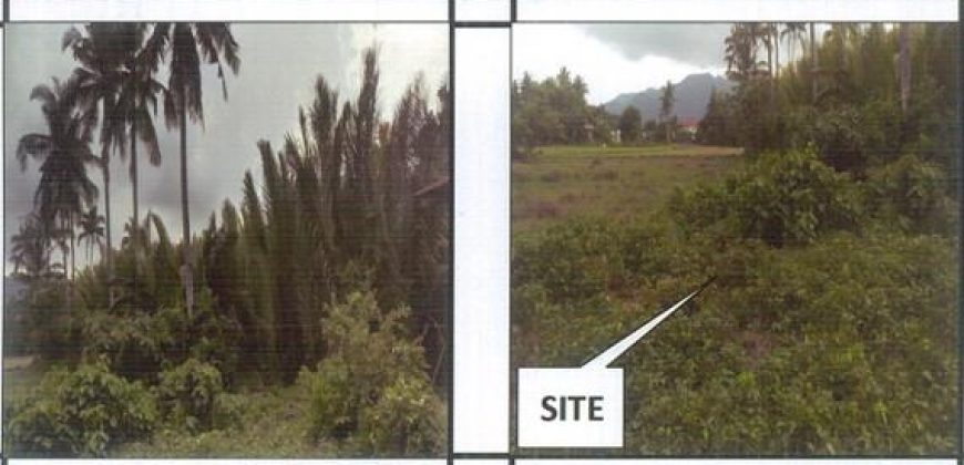 Foreclosed Property in Nabas, Aklan (PDIC)