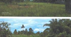 Foreclosed Residential Lot in Cabadbaran City