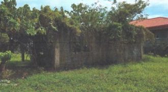 Foreclosed Residential Lot in Cabadbaran City, Agusan del Norte · Lot 1869-E-1-C (PDIC)