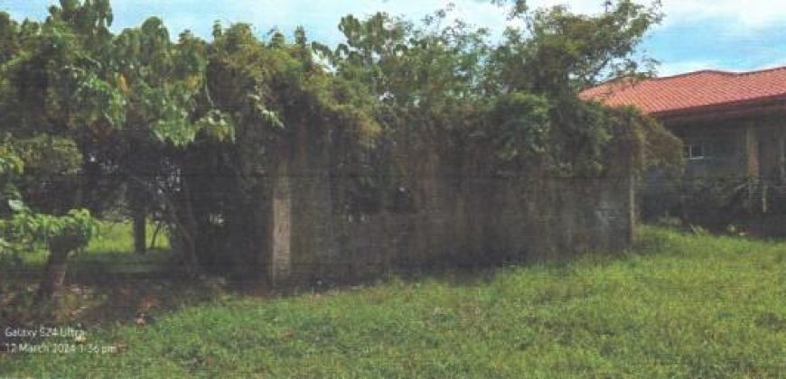 Foreclosed Residential Lot in Cabadbaran City, Agusan del Norte · Lot 1869-E-1-C (PDIC)