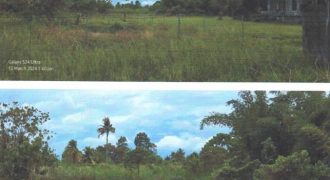 Foreclosed Residential Lot in Cabadbaran City, Agusan del Norte (PDIC)