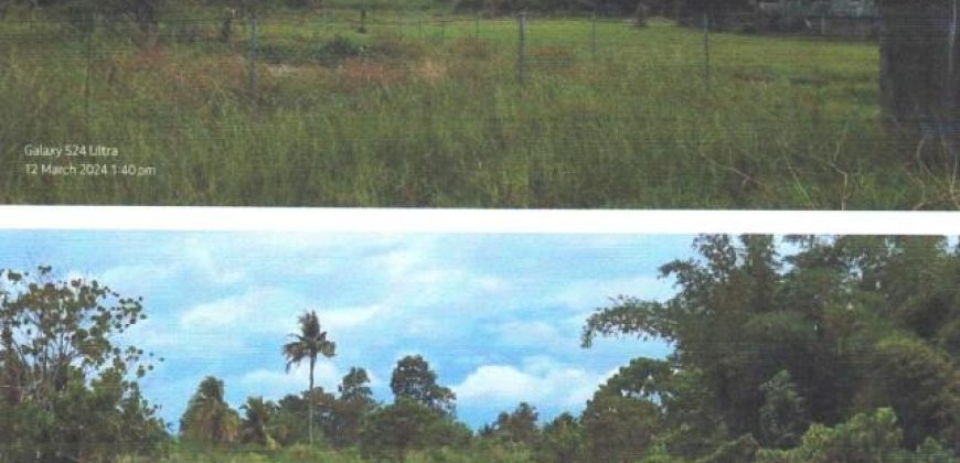 Foreclosed Residential Lot in Cabadbaran City, Agusan del Norte (PDIC)