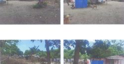 Foreclosed Property in Cabangan, Zambales (PDIC)
