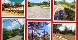 Foreclosed House and Lot in Batangas (Asia United Bank)