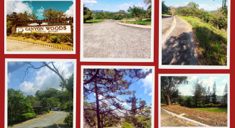 Foreclosed House and Lot in Batangas (Asia United Bank)