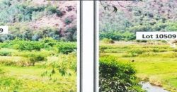 Foreclosed Agricultural Lot in San Narciso, Zambales · Lot No. 18 Blk. 0007 (PDIC)