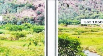 Foreclosed Agricultural Lot in San Narciso, Zambales · Lot No. 18 Blk. 0007 (PDIC)
