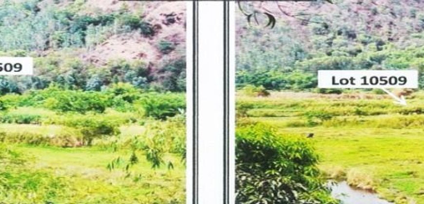 Foreclosed Agricultural Lot in San Narciso, Zambales · Lot No. 18 Blk. 0007 (PDIC)
