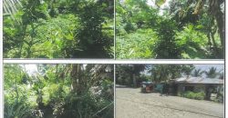 Foreclosed Property in City of Maasin City, Southern Leyte (PDIC)