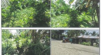 Foreclosed Property in City of Maasin City, Southern Leyte (PDIC)