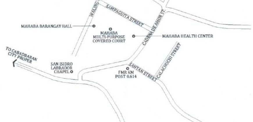 Foreclosed Property in Cabadbaran City, Agusan del Norte (PDIC)