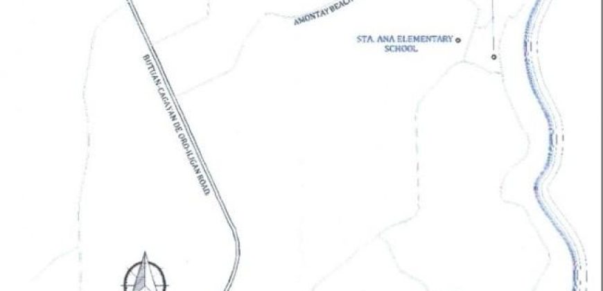 Foreclosed Residential Lot in Nasipit, Agusan del Norte, Mindanao #7