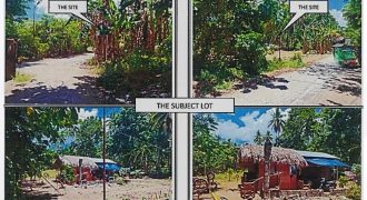 Foreclosed Property in Oas, Albay · Lot No. 4673 (PDIC)