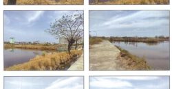 Foreclosed Agricultural Lot in Dagupan City, Pangasinan (PDIC)