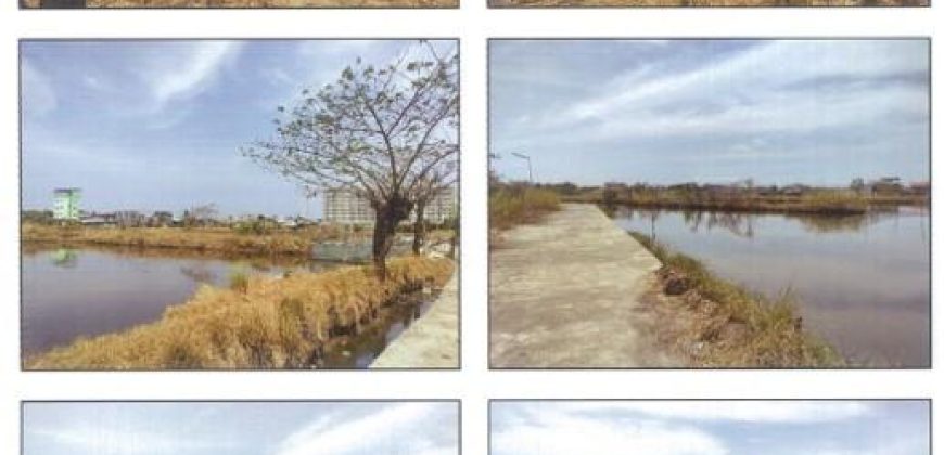 Foreclosed Agricultural Lot in Dagupan City, Pangasinan (PDIC)