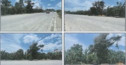 Foreclosed Agricultural Lot in City Of Alaminos City, Laguna · Lot No. A-7 (PDIC)