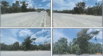 Foreclosed Agricultural Lot in City Of Alaminos City, Laguna · Lot No. A-7 (PDIC)