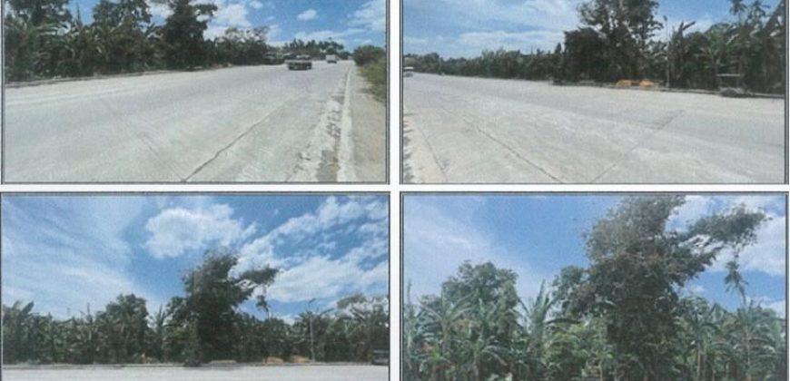 Foreclosed Agricultural Lot in City Of Alaminos City, Laguna · Lot No. A-7 (PDIC)