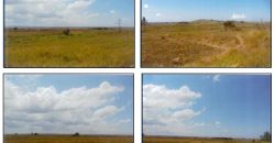 Foreclosed Agricultural Lot in Milagros, Masbate (PDIC)