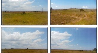 Foreclosed Agricultural Lot in Milagros, Masbate (PDIC)