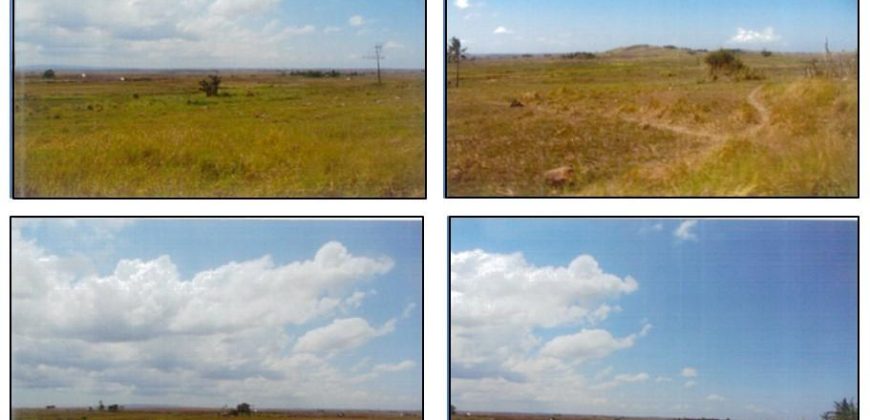 Foreclosed Agricultural Lot in Milagros, Masbate (PDIC)
