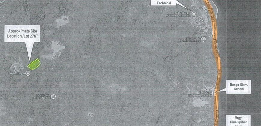 Foreclosed Agricultural Lot in Padre Burgos, Southern Leyte · Lot 2767 (PDIC)