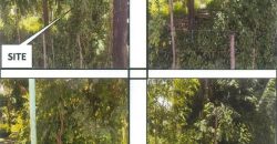 Foreclosed Residential Lot in Villasis, Pangasinan · Lot No. 2513-B (PDIC)