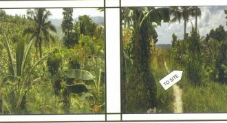 Foreclosed Agricultural Lot in Cebu City