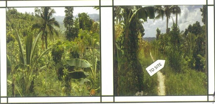 Foreclosed Agricultural Lot in Cebu City