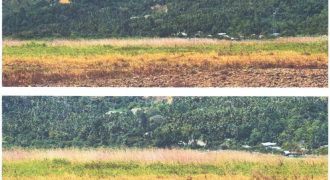Foreclosed Agricultural Lot in Jabonga, Agusan del Norte · Lot I-59 (PDIC)